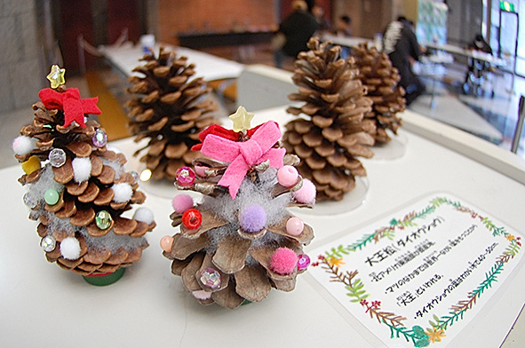 12月のイベント／千葉県立中央博物館