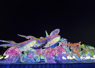 東京ドイツ村　ウィンターイルミネーション