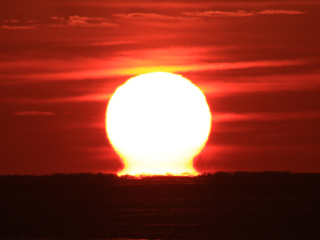 九十九里浜で激レア蜃気楼と海鳥をみよう