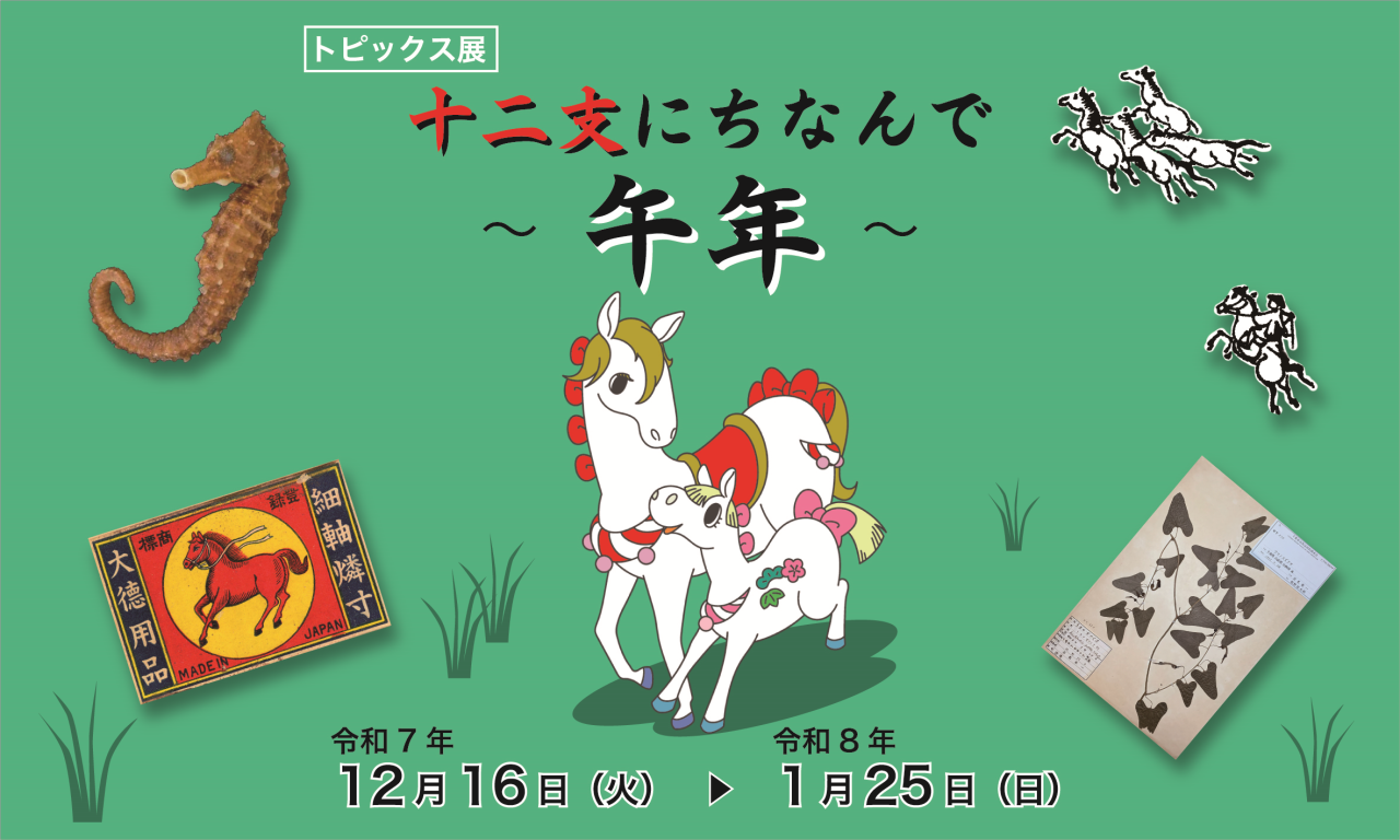 令和7年度トピックス展「十二支にちなんで －午年－」／千葉県立中央博物館
