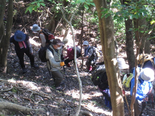 会所・麻綿原ハイキング／内浦山県民の森