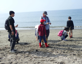 海岸で化石を探そう