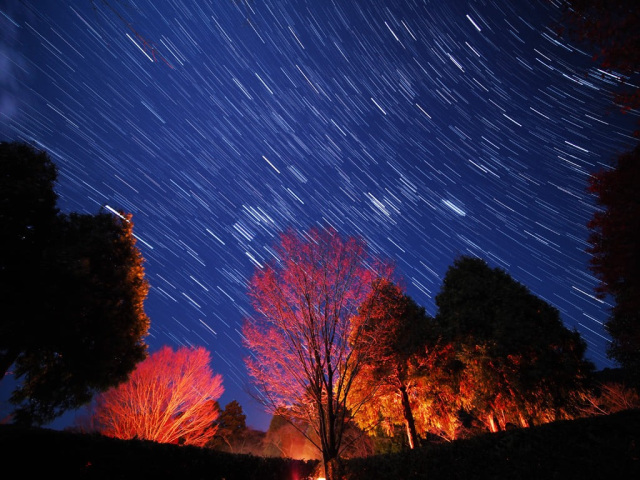 星空観賞会＆合同観測会／内浦山県民の森