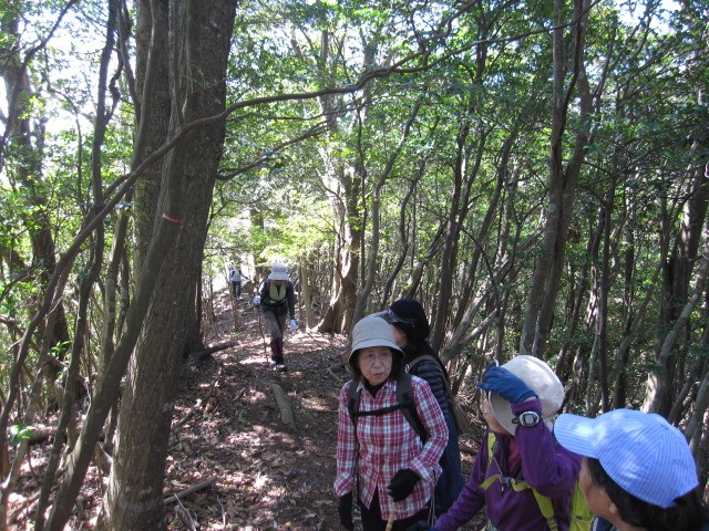 新緑・そばハイキング／内浦山県民の森