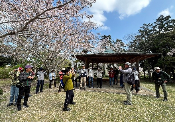 草木が芽吹く春の自然観察会