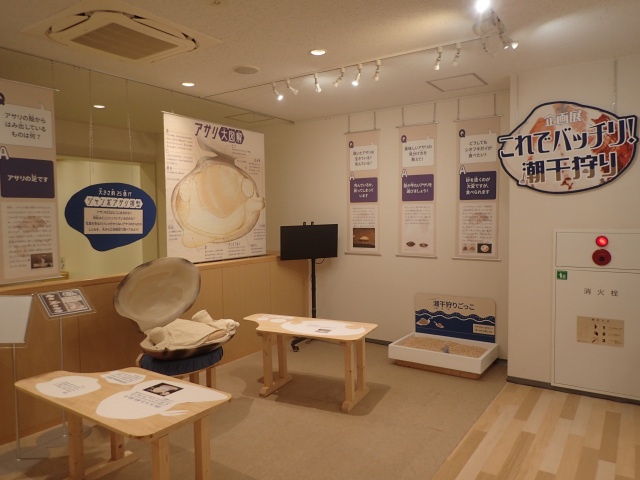 企画展「これでバッチリ! 潮干狩り2026」／ふなばし三番瀬環境学習館