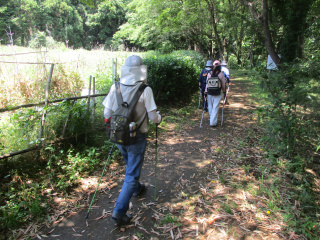 ノルディックウォーキング