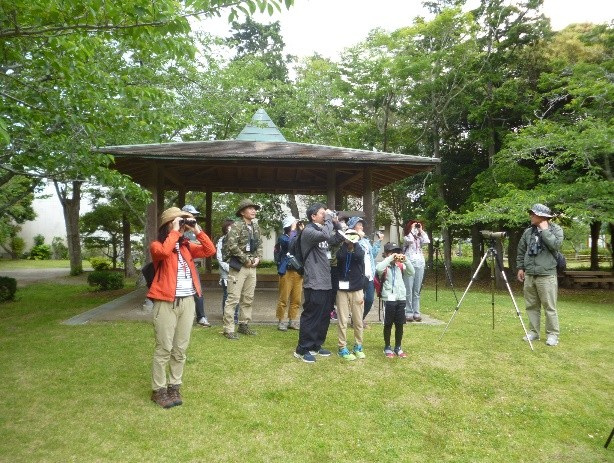 初夏の野鳥観察会／館山野鳥の森