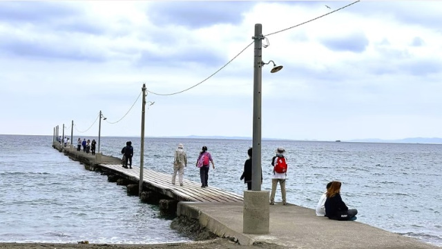 初夏の潮騒ハイキング～南房総富浦の海の景色を楽しむ～／館山野鳥の森