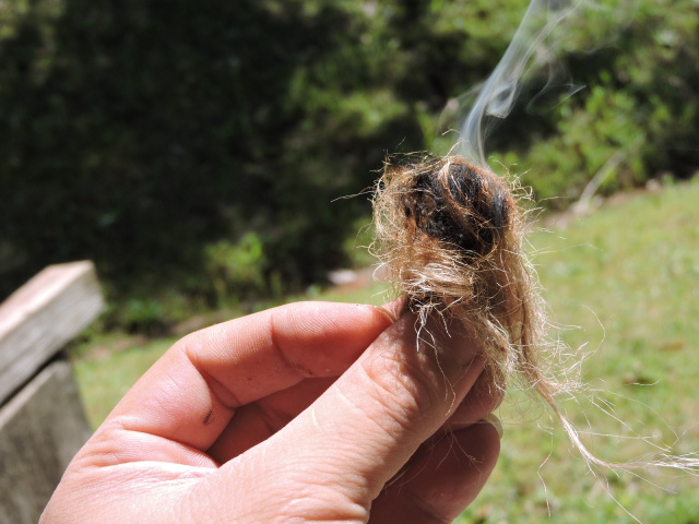 火起こし体験／千葉県立清和県民の森
