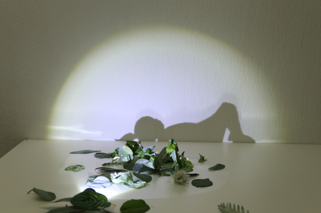 企画展「光とモノが作る影アート」佐藤江未／ふなばしアンデルセン公園 子ども美術館