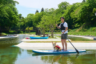 SUP with DOG													