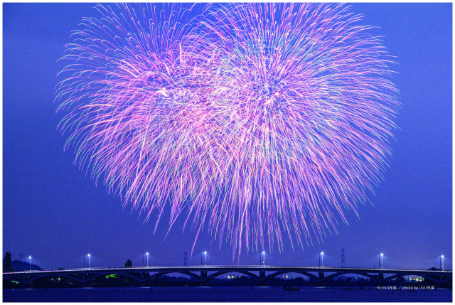 手賀沼花火大会2026／手賀沼自然ふれあい緑道・手賀沼公園・手賀沼横丁・手賀沼遊歩道・手賀沼ふれあいライン