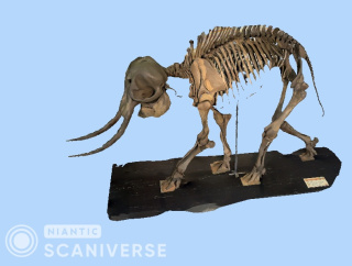 動物の３Dモデルをつくろう