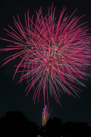 イメージ写真