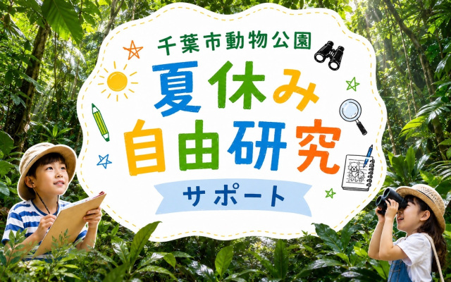 【夏休みの自由研究サポート】生きものと緑の宝庫、熱帯雨林のジオラマを作って学ぼう！／千葉市動物公園