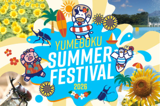 サマーフェス2026開催！