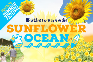 ひまわり畑