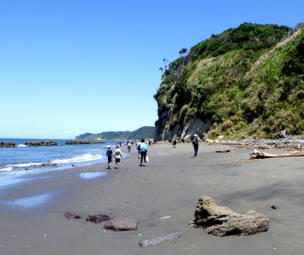 海岸で石ころを拾おう