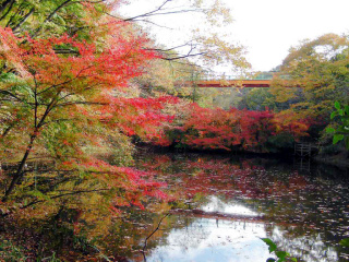 泉自然公園