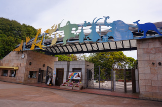 千葉市動物公園