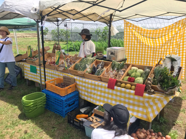 日曜マルシェ／館山パイオニアファーム