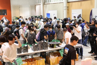 従来のジャンク市の様子