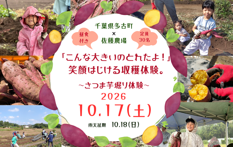 笑顔はじける「さつまいも堀り体験」／佐藤農場
