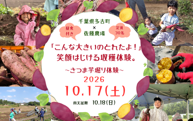 笑顔はじける「さつまいも堀り体験」／佐藤農場