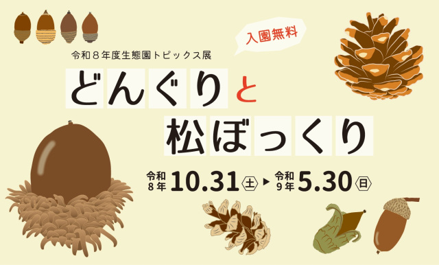 生態園トピックス展 どんぐりと松ぼっくり／千葉県立中央博物館