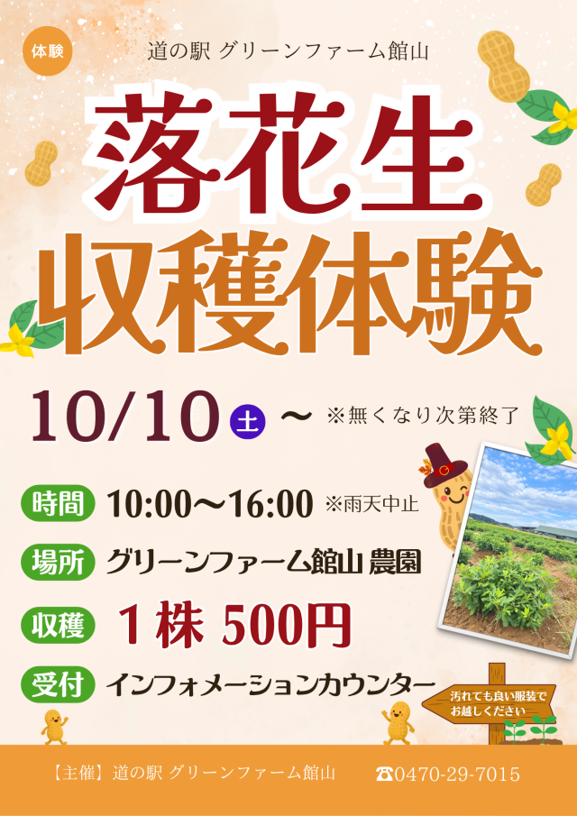 落花生収穫体験／道の駅グリーンファーム館山